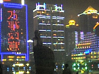夜晚的白鹭女神像