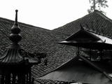 成都-青城山3