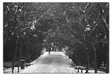 snow in hangzhou