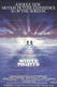 white nights