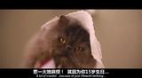 snapshot20090301204240