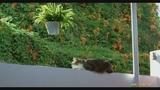 暴风截屏20090208203053