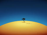 vladstudio_teneretree_1024x768