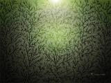 5trees