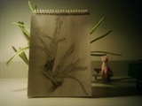 MY WORLD ON THE DESK