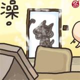 澡