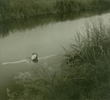 large_4322j68