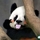 送礼体面过人
