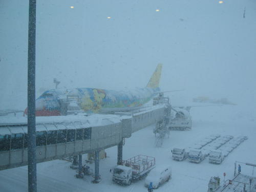 暴风雪