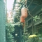 沙漏咖啡2