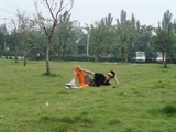 DSC04211