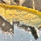 黄色经典10