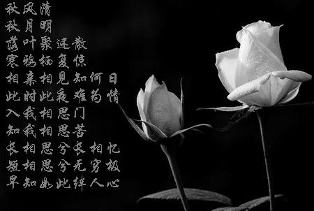 ...相思门照片相思门2009-11-30 03:30 照片地址:复制图片地址...