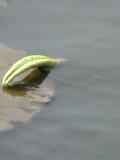 nEO_IMG_IMG_2033