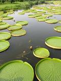 nEO_IMG_IMG_2059