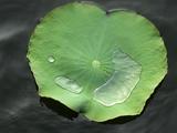 nEO_IMG_IMG_2027