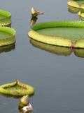nEO_IMG_IMG_2054