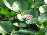 nEO_IMG_IMG_2047