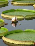 nEO_IMG_IMG_2057