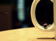 mocca & ring