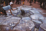 graff11