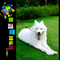 大哥