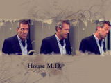 House-house-md-4962352-1024-768