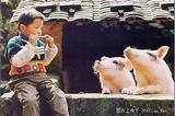 美妙的音乐~~~