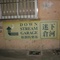 DSC00541