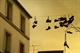 large_lQBa_1107l132092[1]