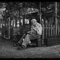 large_ZI1A_953b132092[1]