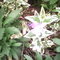 IMG0661A_jpg%5B1%5D