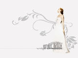 381b5c4ea2645e11b3de05c0