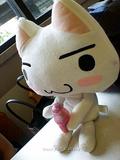 SONY猫