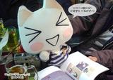 SONY猫