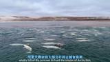 冰河大消融