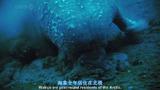 冰河大消融