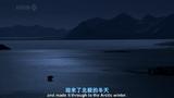 守望者