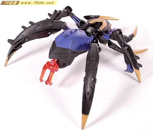 Blackarachnia