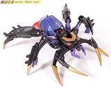 Blackarachnia