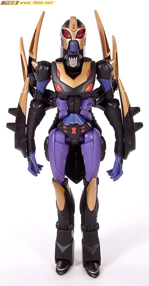 Blackarachnia