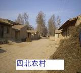 PC280026