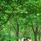 婚纱照5