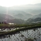 龙胜梯田
