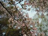 DSCF0160