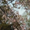 DSCF0160