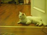 DSCF0047