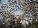 DSCF0174