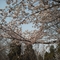 DSCF0174