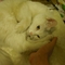 DSCF0080